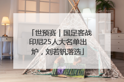 世预赛｜国足客战印尼25人大名单出炉，刘若钒落选