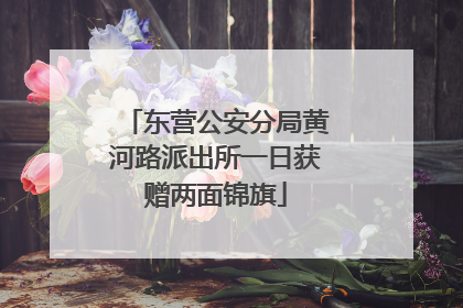 东营公安分局黄河路派出所一日获赠两面锦旗