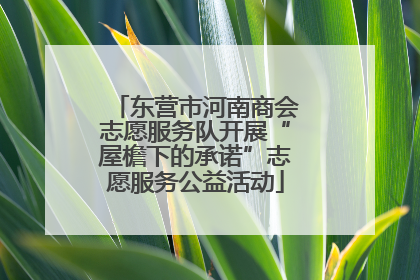 东营市河南商会志愿服务队开展“屋檐下的承诺”志愿服务公益活动