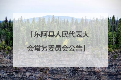 东阿县人民代表大会常务委员会公告