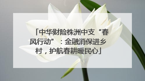 中华财险株洲中支“春风行动”：金融消保进乡村，护航春耕暖民心