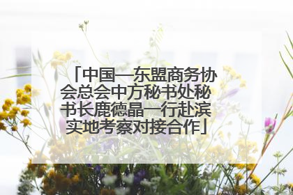 中国—东盟商务协会总会中方秘书处秘书长鹿德晶一行赴滨实地考察对接合作