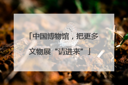中国博物馆，把更多文物展“请进来”