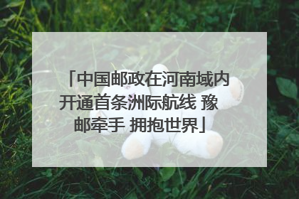 中国邮政在河南域内开通首条洲际航线 豫邮牵手 拥抱世界