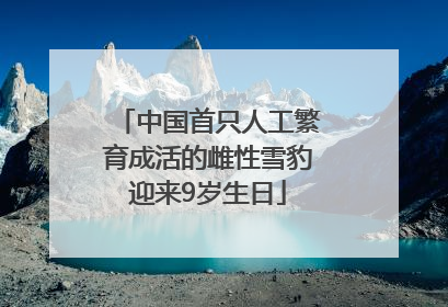 中国首只人工繁育成活的雌性雪豹迎来9岁生日