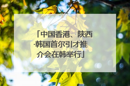 中国香港、陕西·韩国首尔引才推介会在韩举行