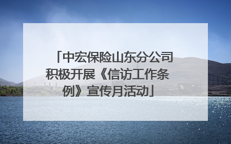 中宏保险山东分公司积极开展《信访工作条例》宣传月活动