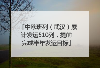 中欧班列（武汉）累计发运510列，提前完成半年发运目标