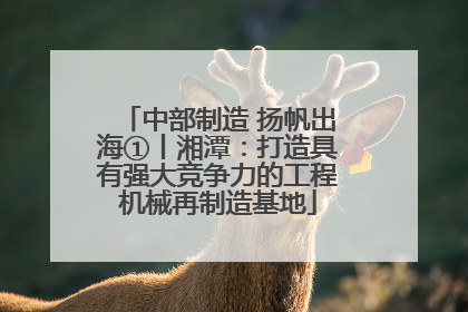 中部制造 扬帆出海①丨湘潭：打造具有强大竞争力的工程机械再制造基地