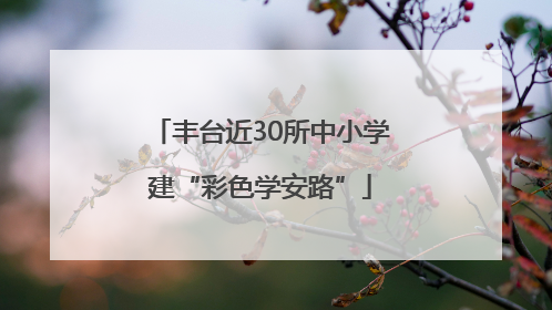 丰台近30所中小学建“彩色学安路”