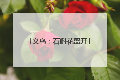 义乌：石斛花盛开
