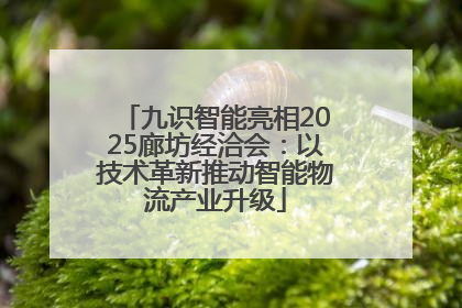 九识智能亮相2025廊坊经洽会：以技术革新推动智能物流产业升级