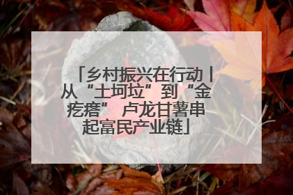 乡村振兴在行动丨从“土坷垃”到“金疙瘩” 卢龙甘薯串起富民产业链