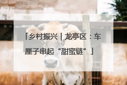 乡村振兴｜龙亭区：车厘子串起“甜蜜链”