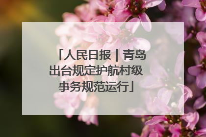 人民日报｜青岛出台规定护航村级事务规范运行