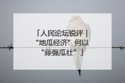 人民论坛锐评｜“地瓜经济”何以“藤强瓜壮”