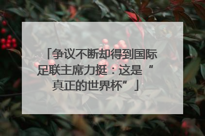 争议不断却得到国际足联主席力挺：这是“真正的世界杯”