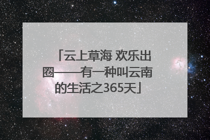 云上草海 欢乐出圈——有一种叫云南的生活之365天