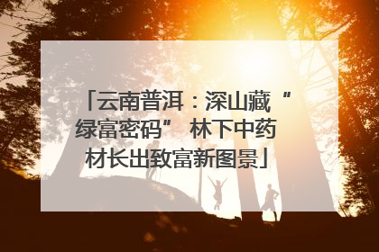 云南普洱：深山藏“绿富密码” 林下中药材长出致富新图景