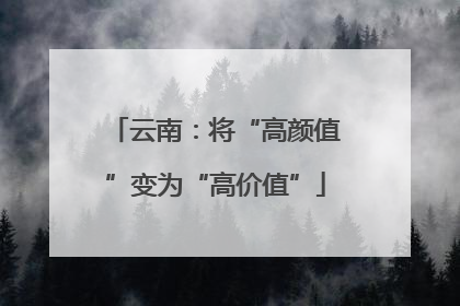 云南：将“高颜值”变为“高价值”