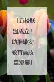 五校联盟成立！助推雄安教育高质量发展