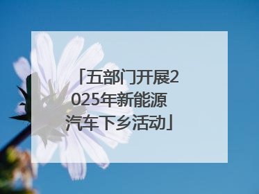 五部门开展2025年新能源汽车下乡活动
