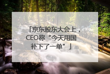 京东股东大会上，CEO称“今天用国补下了一单”