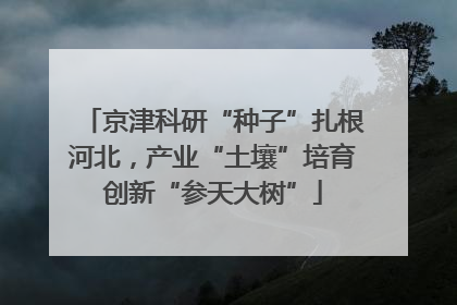 京津科研“种子”扎根河北，产业“土壤”培育创新“参天大树”
