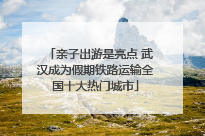 亲子出游是亮点 武汉成为假期铁路运输全国十大热门城市