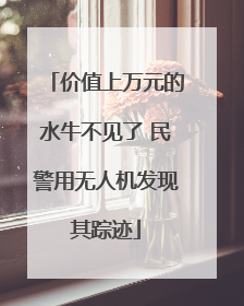价值上万元的水牛不见了 民警用无人机发现其踪迹