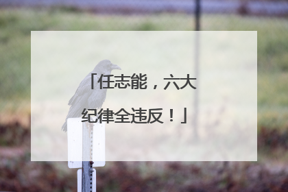 任志能，六大纪律全违反！