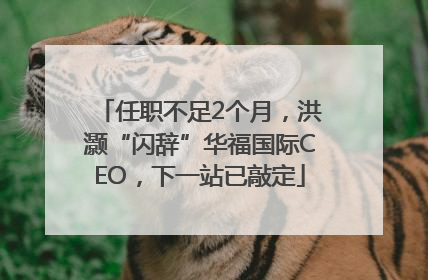 任职不足2个月，洪灏“闪辞”华福国际CEO，下一站已敲定