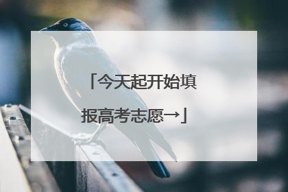今天起开始填报高考志愿→