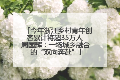 今年浙江乡村青年创客累计将超35万人 周国辉：一场城乡融合的“双向奔赴”