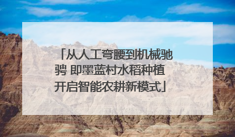 从人工弯腰到机械驰骋 即墨蓝村水稻种植开启智能农耕新模式