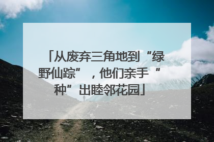 从废弃三角地到“绿野仙踪”，他们亲手“种”出睦邻花园