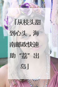 从枝头甜到心头，海南邮政快速助“荔”出岛