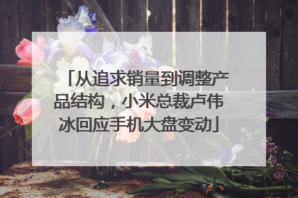 从追求销量到调整产品结构，小米总裁卢伟冰回应手机大盘变动