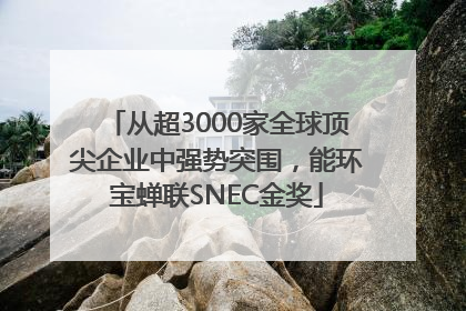 从超3000家全球顶尖企业中强势突围，能环宝蝉联SNEC金奖