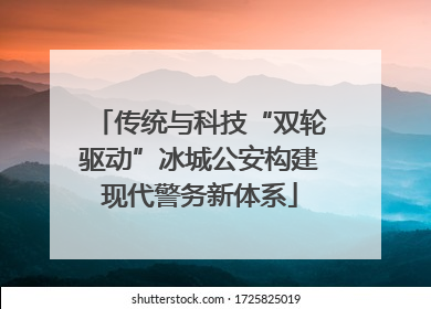 传统与科技“双轮驱动”冰城公安构建现代警务新体系