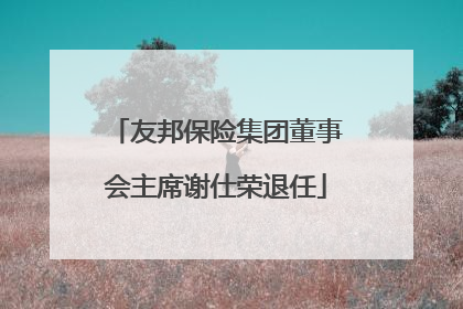 友邦保险集团董事会主席谢仕荣退任