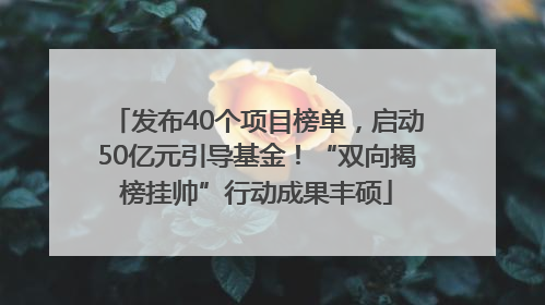 发布40个项目榜单，启动50亿元引导基金！“双向揭榜挂帅”行动成果丰硕