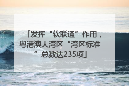 发挥“软联通”作用，粤港澳大湾区“湾区标准”总数达235项