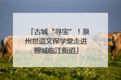 古城“寻宝”！泉州世遗文保学堂走进鲤城临江街道