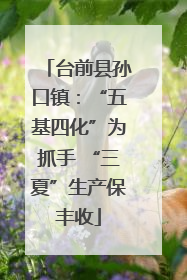 台前县孙口镇：“五基四化”为抓手 “三夏”生产保丰收