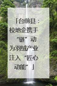 台前县：校地企携手“链”动 为羽绒产业注入“匠心动能”
