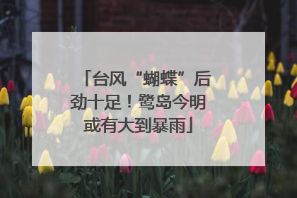 台风“蝴蝶”后劲十足！鹭岛今明或有大到暴雨