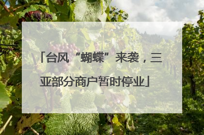 台风“蝴蝶”来袭，三亚部分商户暂时停业