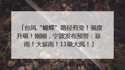 台风“蝴蝶”路径有变！强度升级！刚刚，宁波发布预警：暴雨！大暴雨！11级大风！