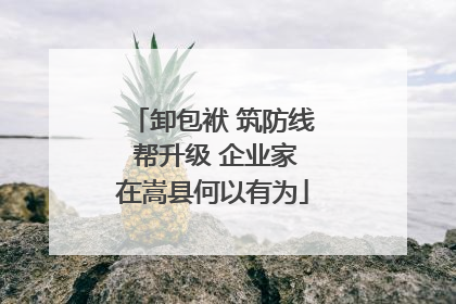 卸包袱 筑防线 帮升级 企业家在嵩县何以有为